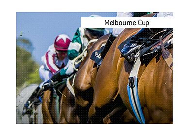 Betting odds for the Melbourne Cup horse race.  Where is the best place to wager on the event?  The King explains.