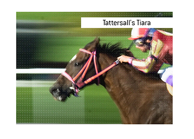 High profile horse race Tattersalls Tiara in Australia is popular among sports bettors.  Which online sportsbook offers odds for this event?