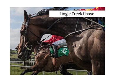 Tingle Creek Chase is a turf course race with 13 fences to be jumped.  Bet on it.