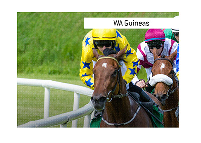 Betting odds for the WA Guineas horse race in Perth, Australia.  Who is the favourite to win?