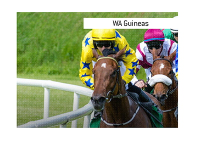 Betting odds for the WA Guineas horse race in Perth, Australia. Who is the favourite to win?